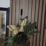 Aliva Apartament