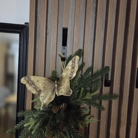 Aliva Apartman